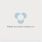 Prime Alliance Consults  logo