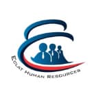 Eclat Human Resources Consulting  logo