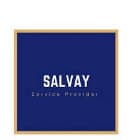 Salvay Service Consulting logo